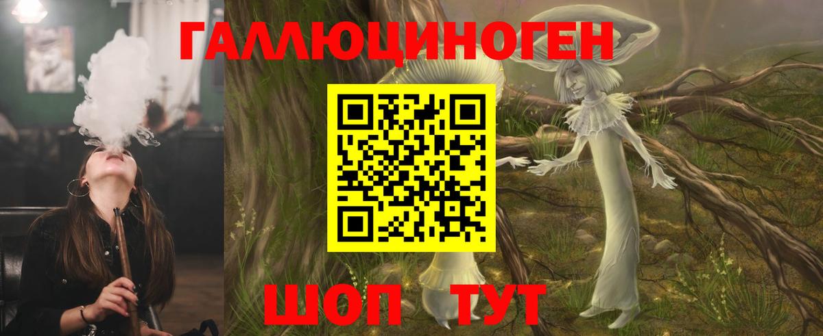 Десногорск  Псилоцибиновые грибы Psilocybe  Вход с VPN 